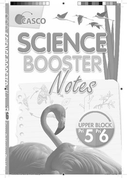 Science Booster Notes - Primary 5/6 (Upper Block) 