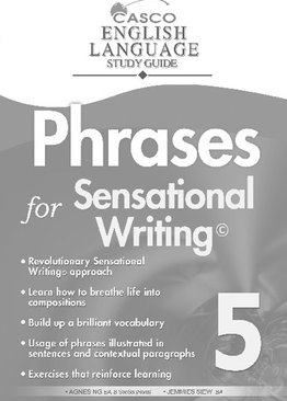 Phrases for Sensational Writing 5