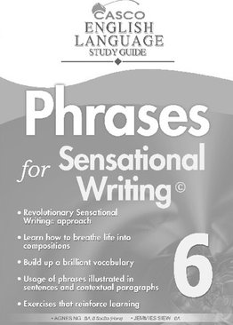 Phrases for Sensational Writing 6