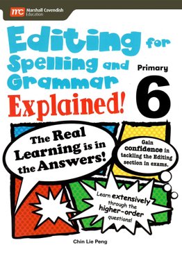 Editing For Spelling And Grammar Explained! P6