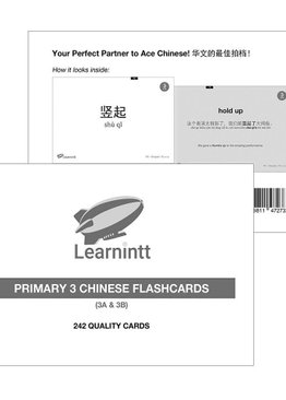 Chinese Vocabulary Flashcards P3