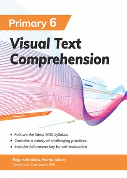 Visual Text Comprehension P6