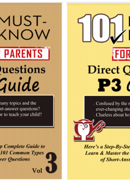 P3. 101 Must-Know Questions Vol 3 + 4 (2-Book Quick Starter Kit for CA2/SA2)