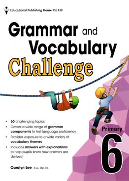 Grammar and Vocabulary Challenge P6