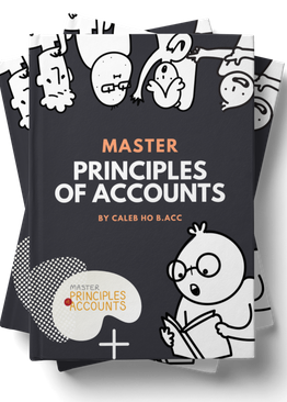 Master Principles of Accounts (3rd Edition)