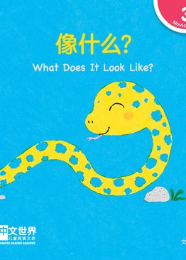 Level 3 Reader: What Does It Look Like? 像什么？