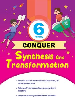 P6 Conquer Synthesis and Transformation