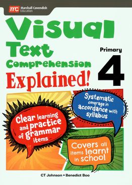 Visual Text Comprehension Explained! P4