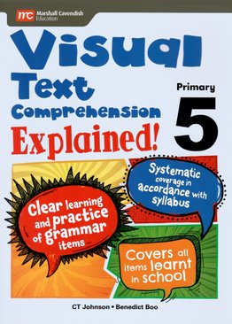 Visual Text Comprehension Explained! P5