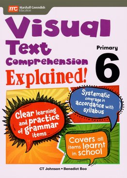 Visual Text Comprehension Explained! P6
