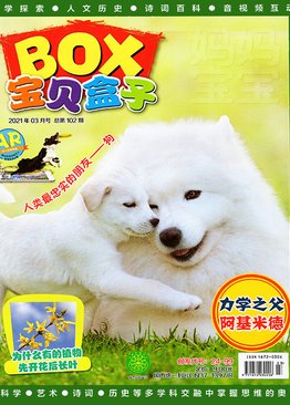 [Complete Collection] TREASURE BOX 宝贝盒子 2022 - Ages 7 to 9 (10 issues)