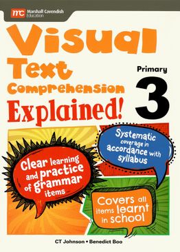 Visual Text Comprehension Explained! P3