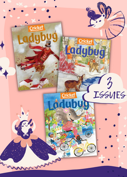 LADYBUG MAGAZINE PACK - 3 ISSUES