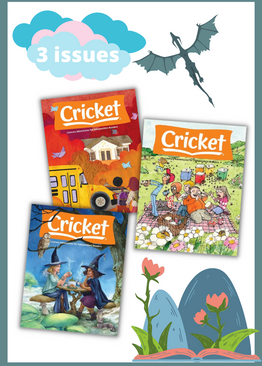 CRICKET MAGAZINE PACK - 3 ISSUES