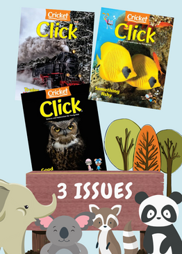 CLICK MAGAZINE PACK - 3 ISSUES
