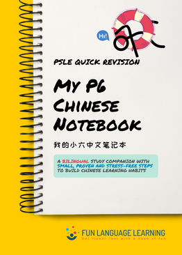 My P6 Chinese Notebook