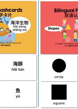 Bilingual (Chinese/English) Flashcards Set